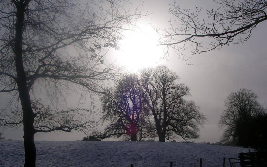 January Recollection for Women